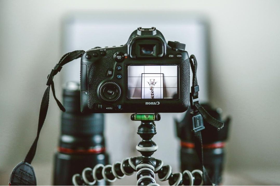 Cookies illustration